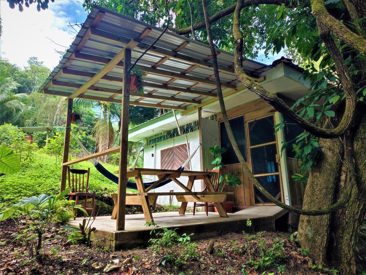 Maya Mountain Lodge San Ignacio