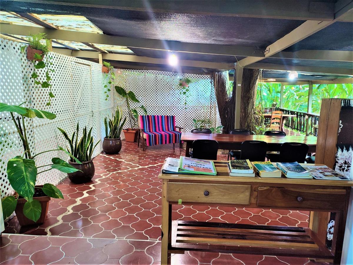 Maya Mountain Lodge *