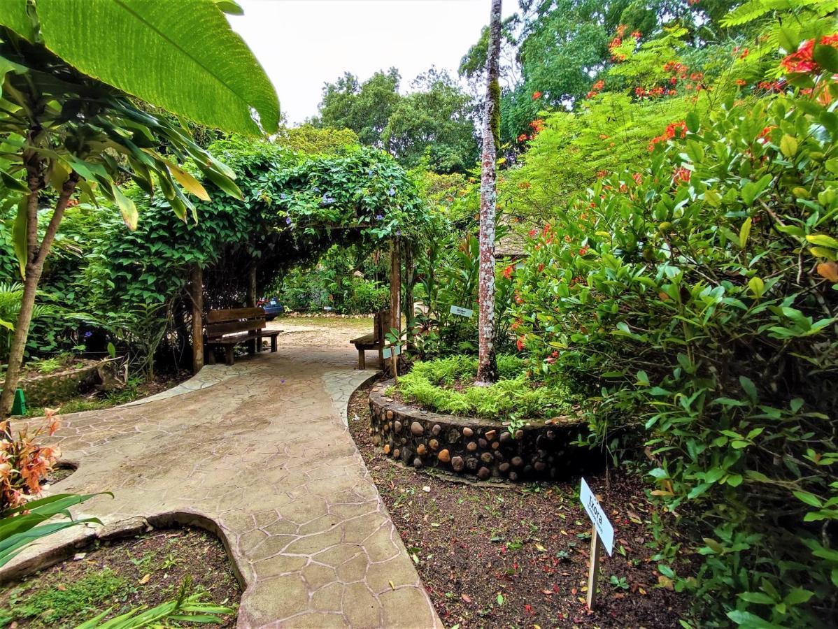 Maya Mountain Lodge