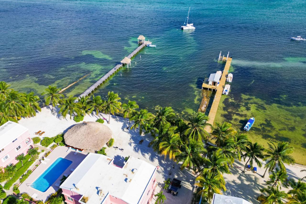 Frangipani 8 At Caribe Island Gold Standard Certified