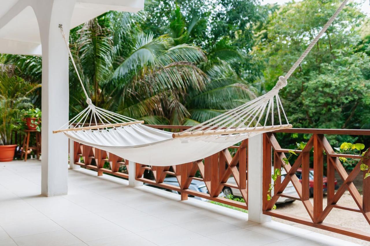 Massis Luxury San Ignacio
