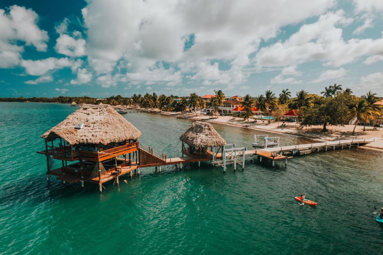 The At Jaguar Reef