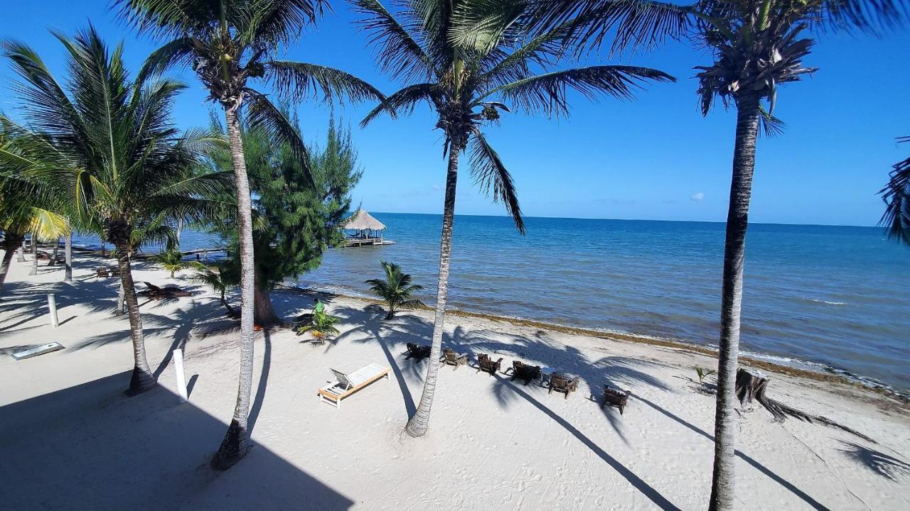 Hotel Maya
