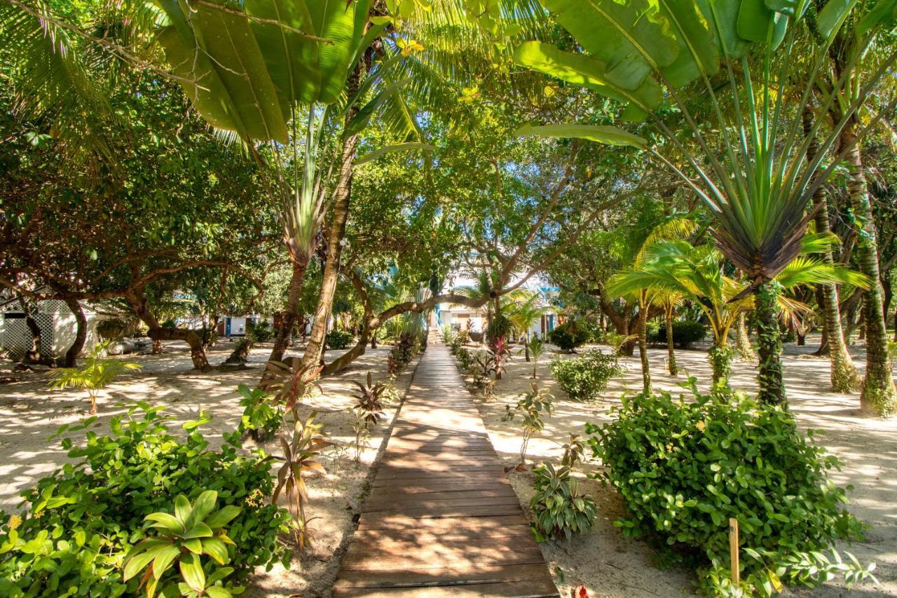 #26 @ Beachside Apartment Placencia