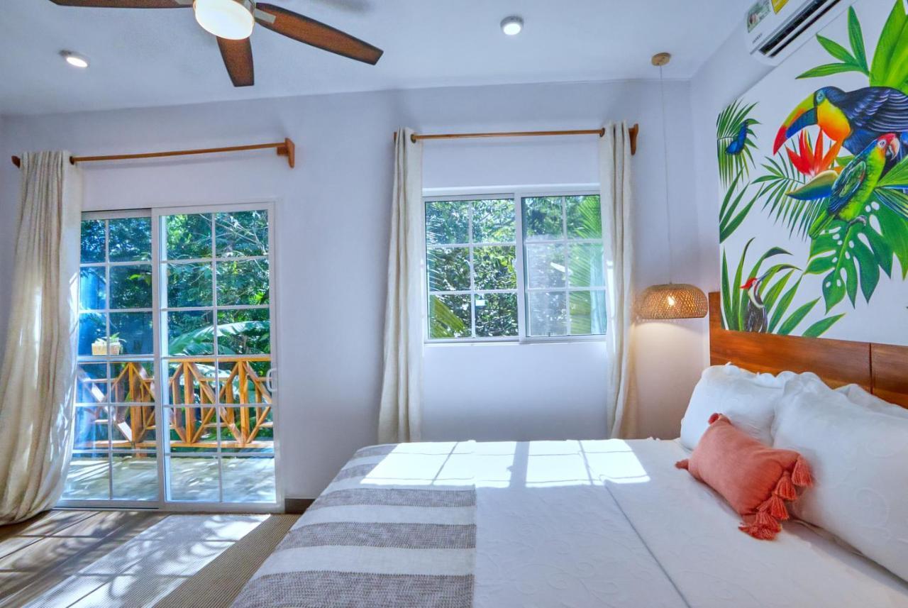 Massis Luxury San Ignacio