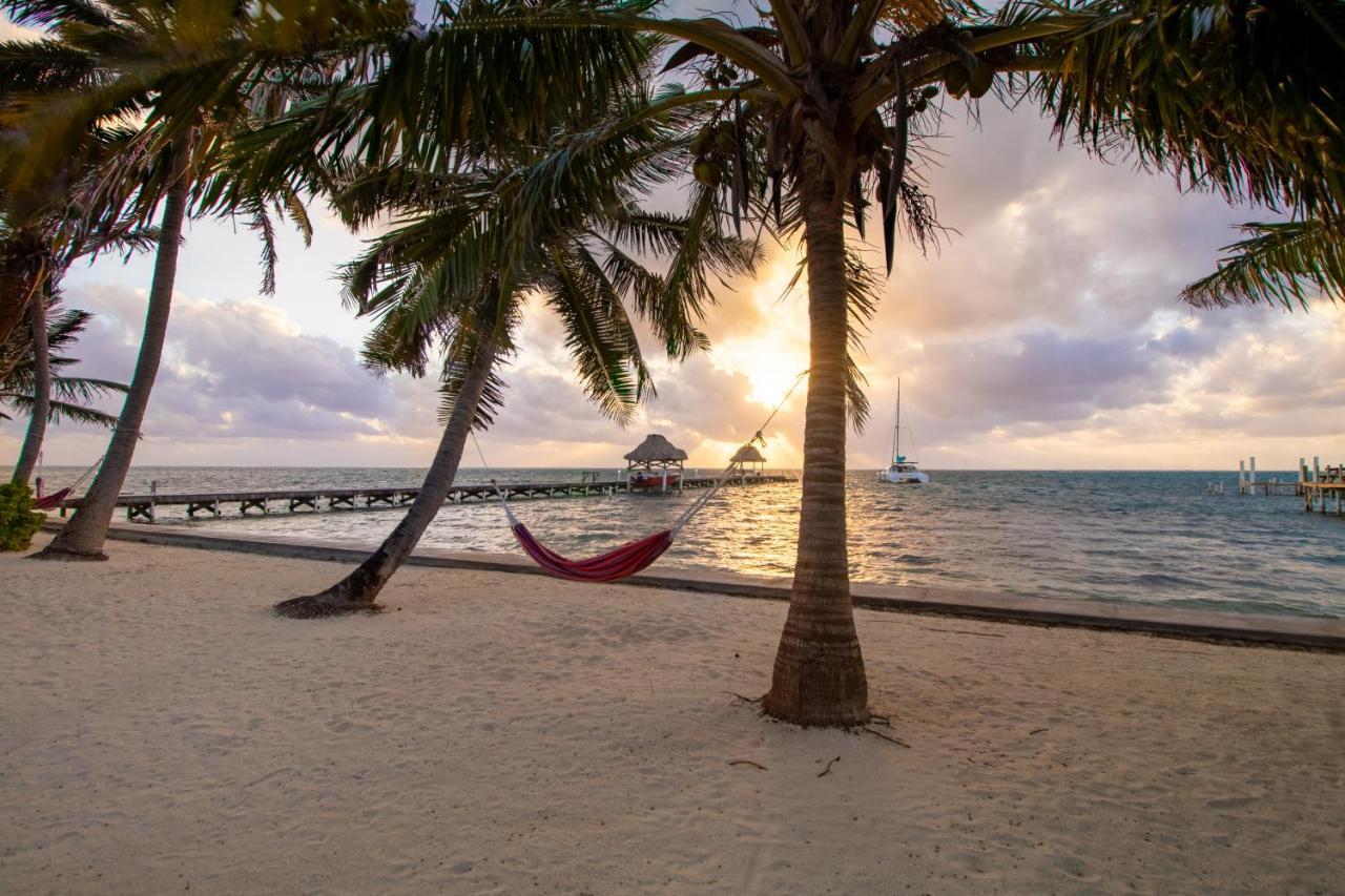Apartment Frangipani 8 At Caribe Island Gold Standard Certified San Pedro (Ambergris Caye)