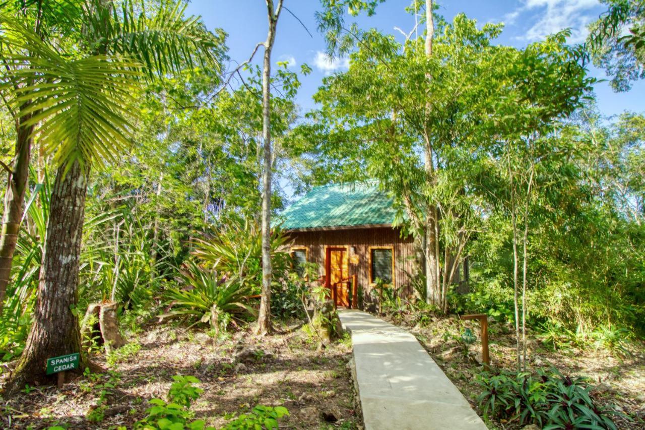 Aparthotel Mariposa Jungle