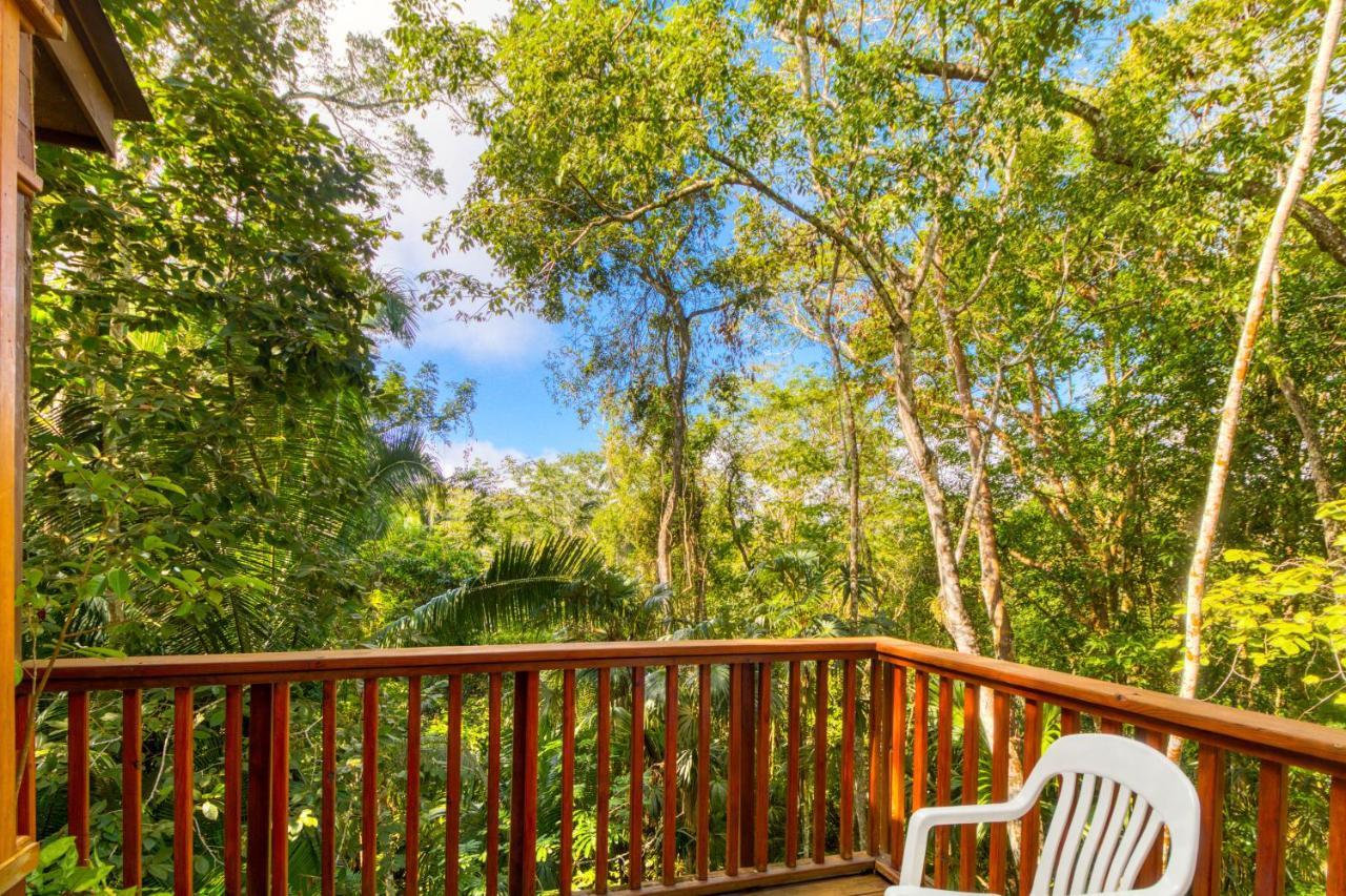 Mariposa Jungle 3*