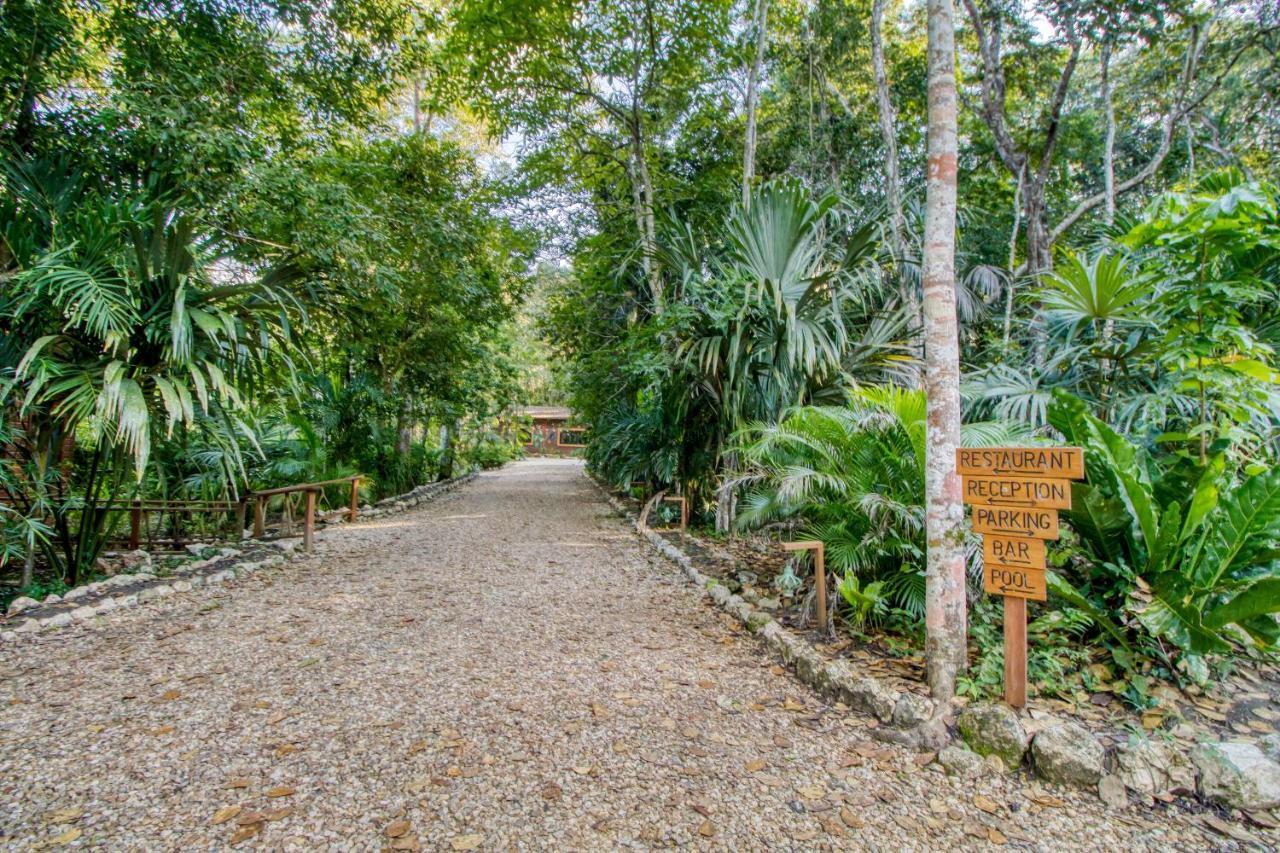 Aparthotel Mariposa Jungle San Ignacio