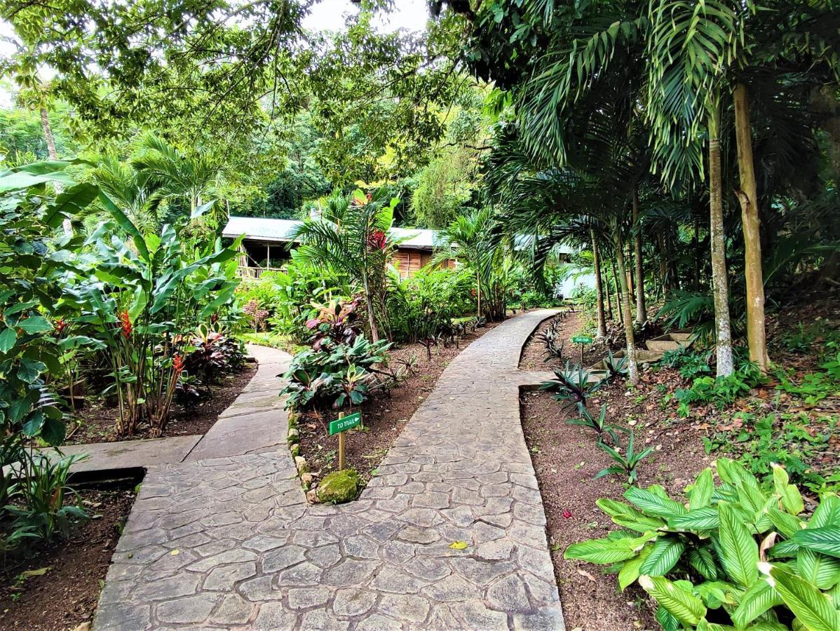 Maya Mountain Lodge San Ignacio
