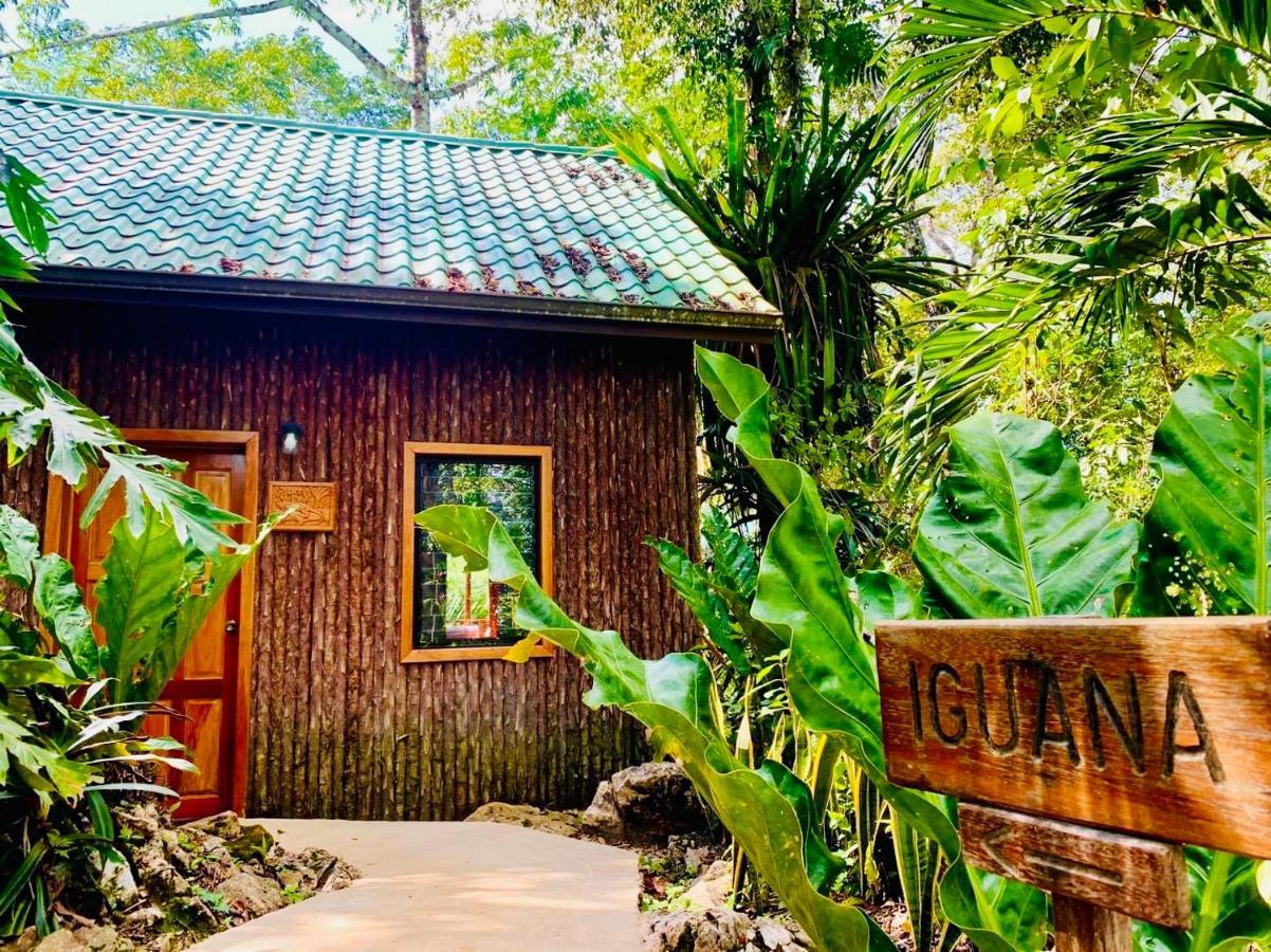 Mariposa Jungle Aparthotel San Ignacio