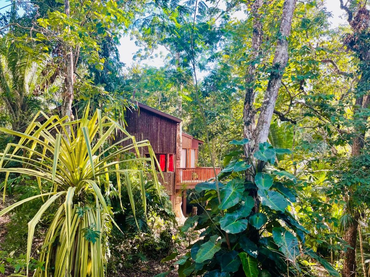 Aparthotel Mariposa Jungle