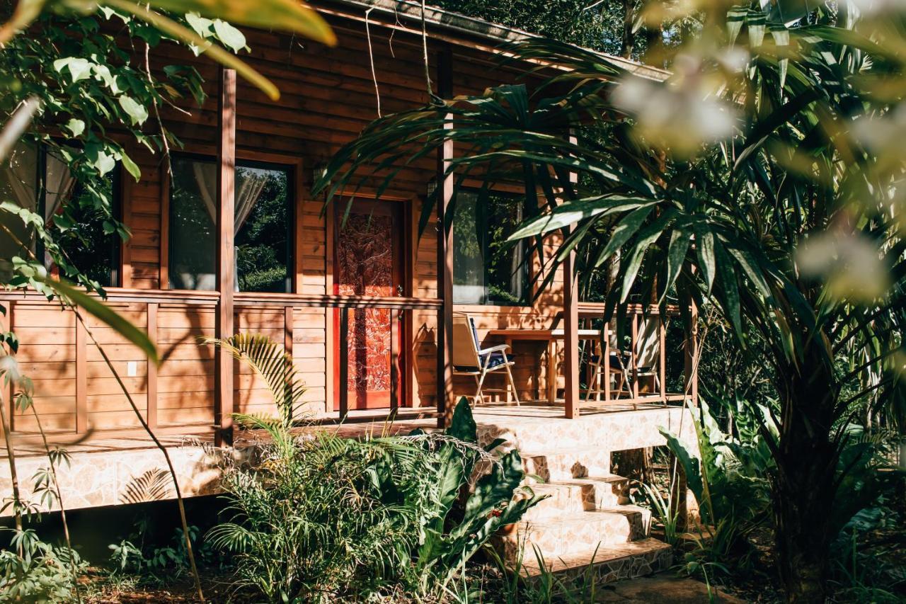 Mariposa Jungle 3*
