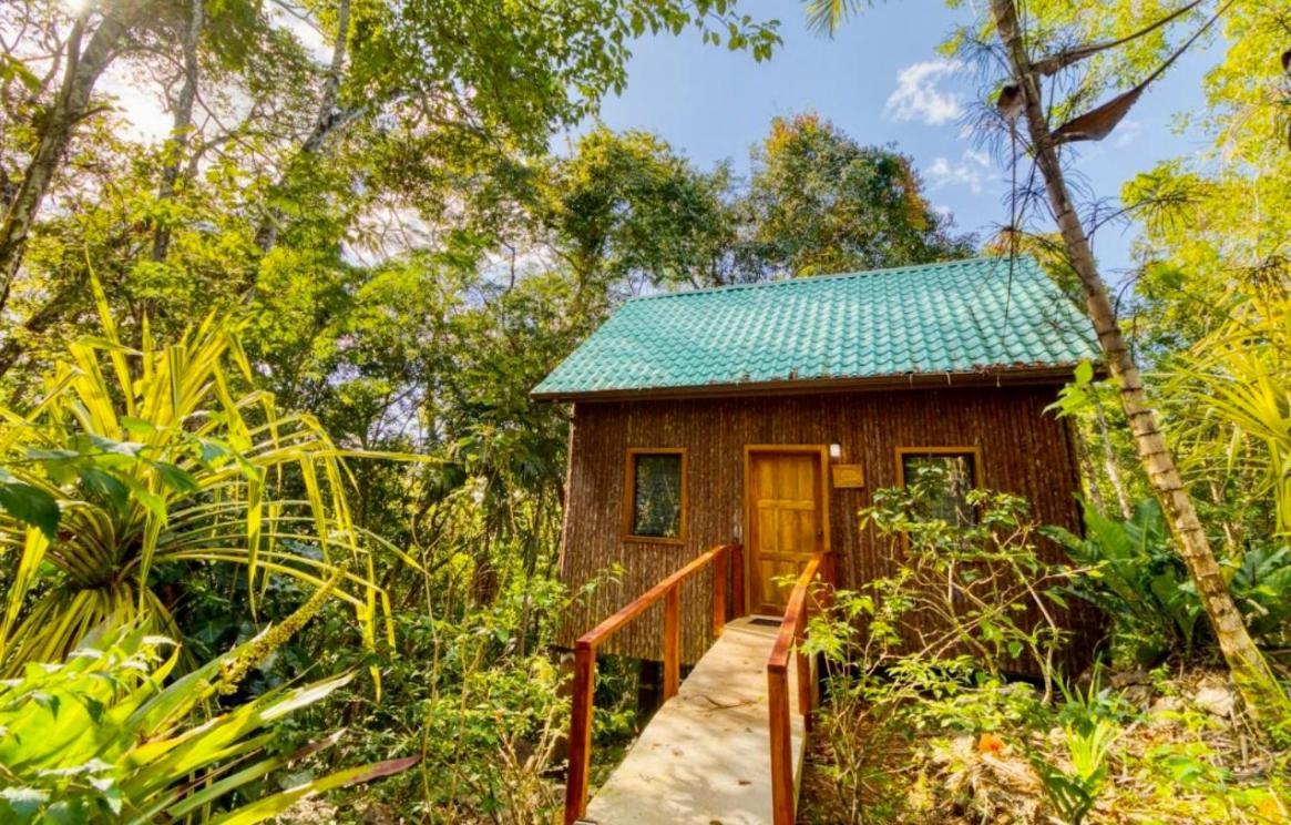 Mariposa Jungle 3*