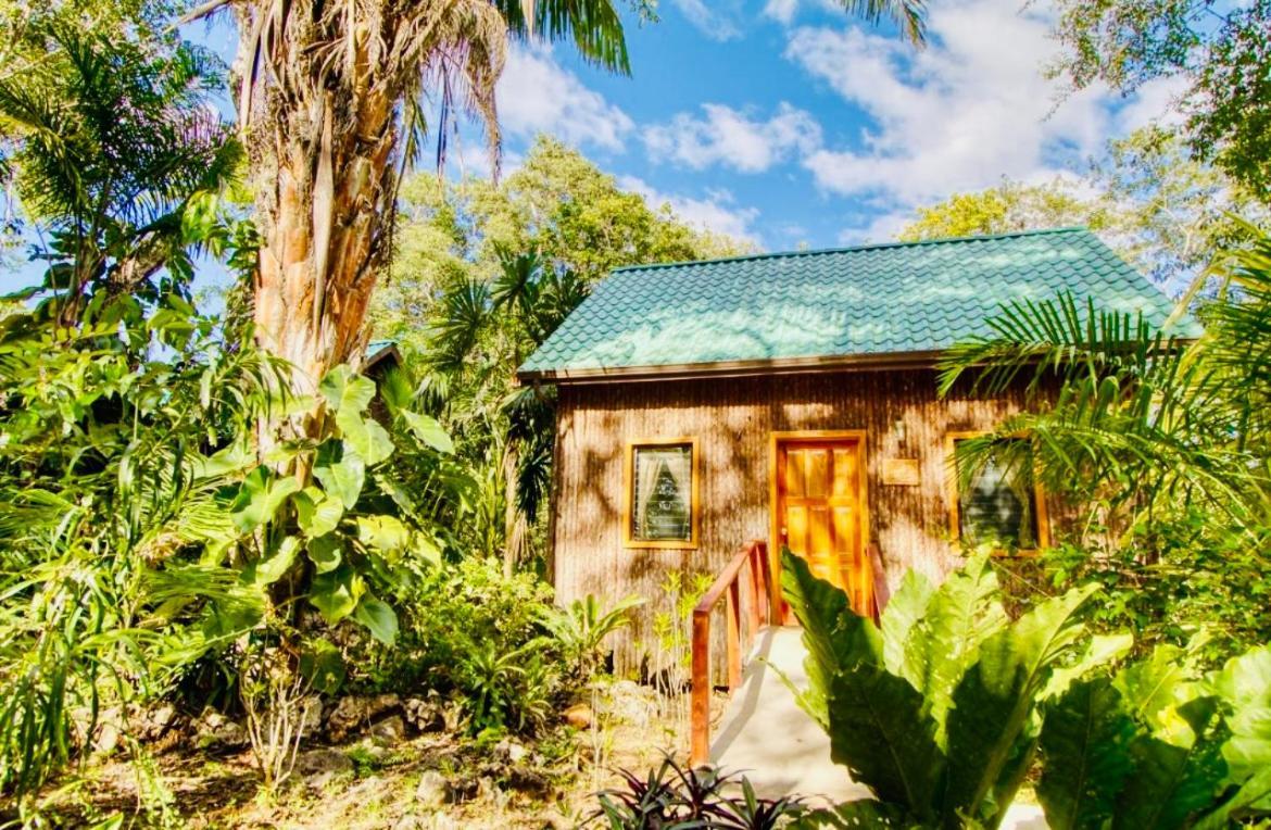 Mariposa Jungle Aparthotel