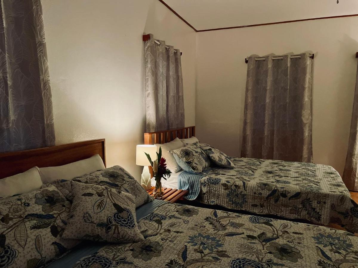 Aparthotel Mariposa Jungle San Ignacio