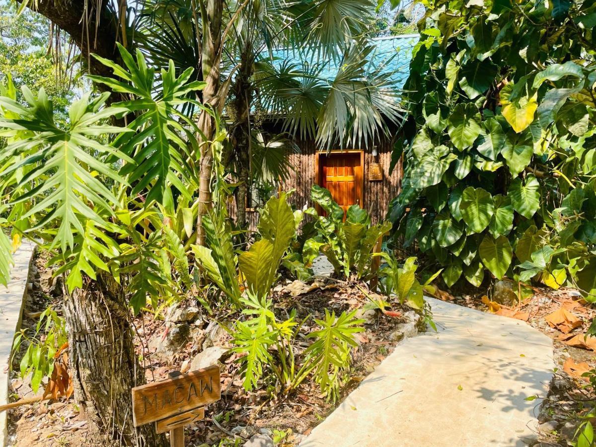 Aparthotel Mariposa Jungle