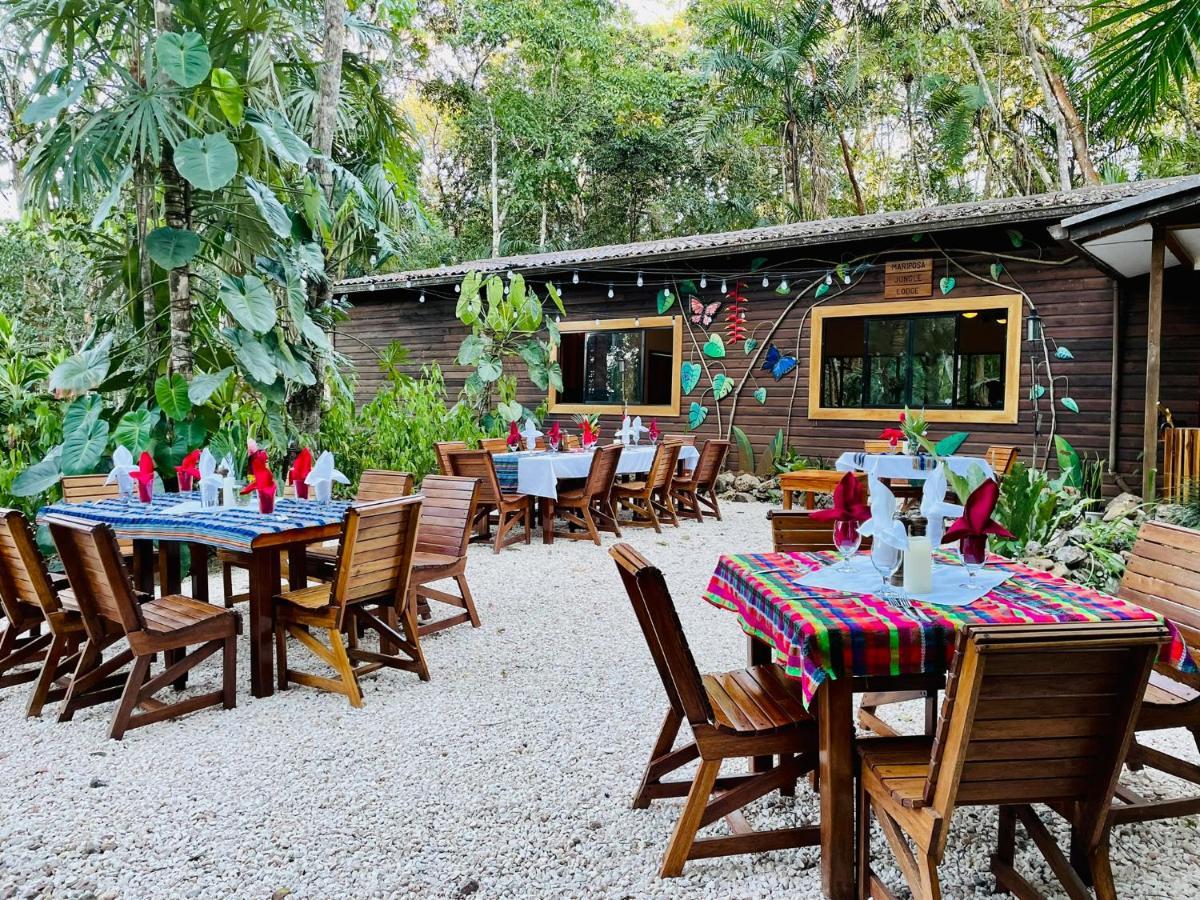 Mariposa Jungle San Ignacio