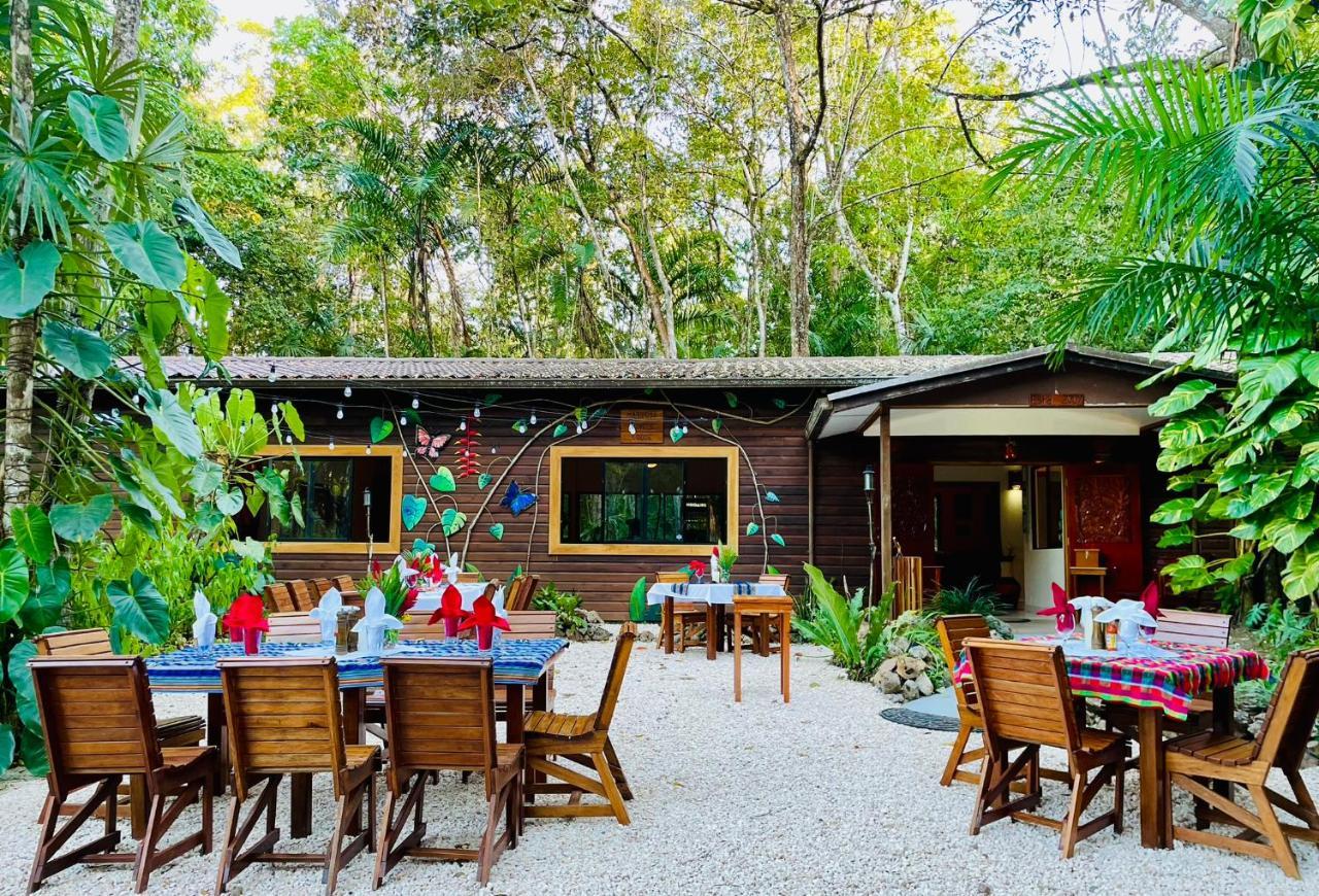 Aparthotel Mariposa Jungle 3*