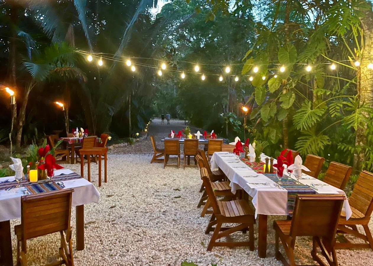 Aparthotel Mariposa Jungle San Ignacio