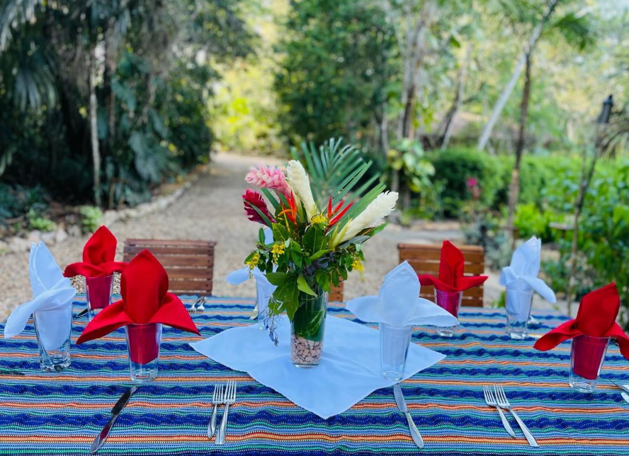 Mariposa Jungle Aparthotel San Ignacio