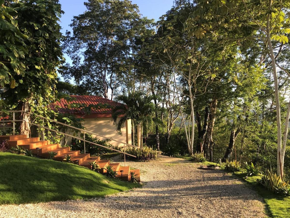 Cayo