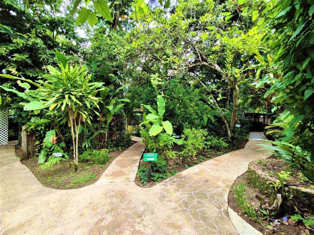 Maya Mountain Lodge *
