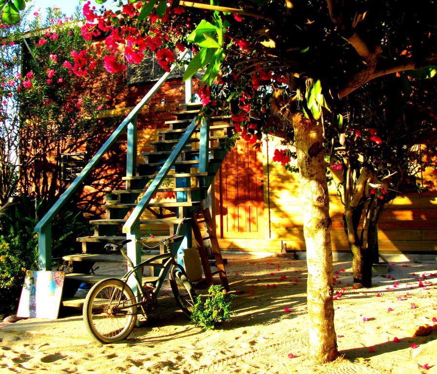 Anda Di Hows * Placencia