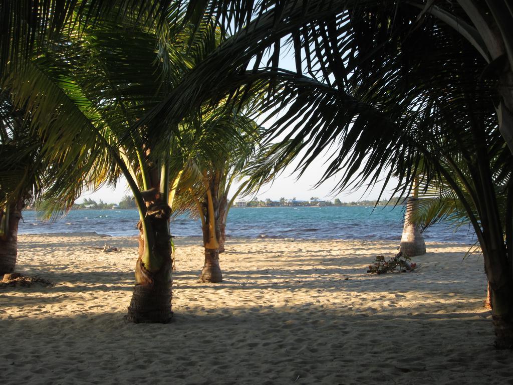 Hostel Anda Di Hows Placencia