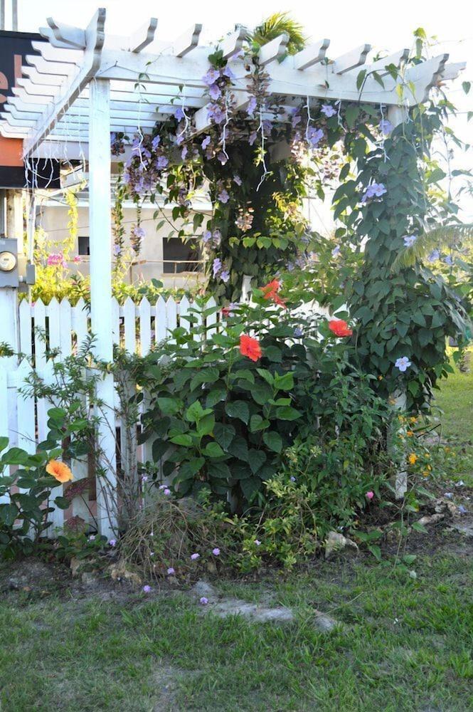 El Rey Belmopan