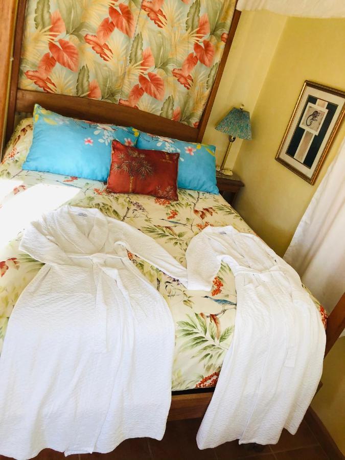 Coral Cove *