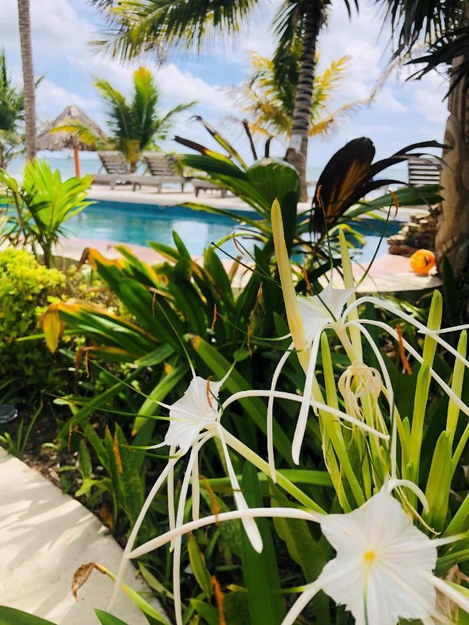 Coral Cove Maya Beach