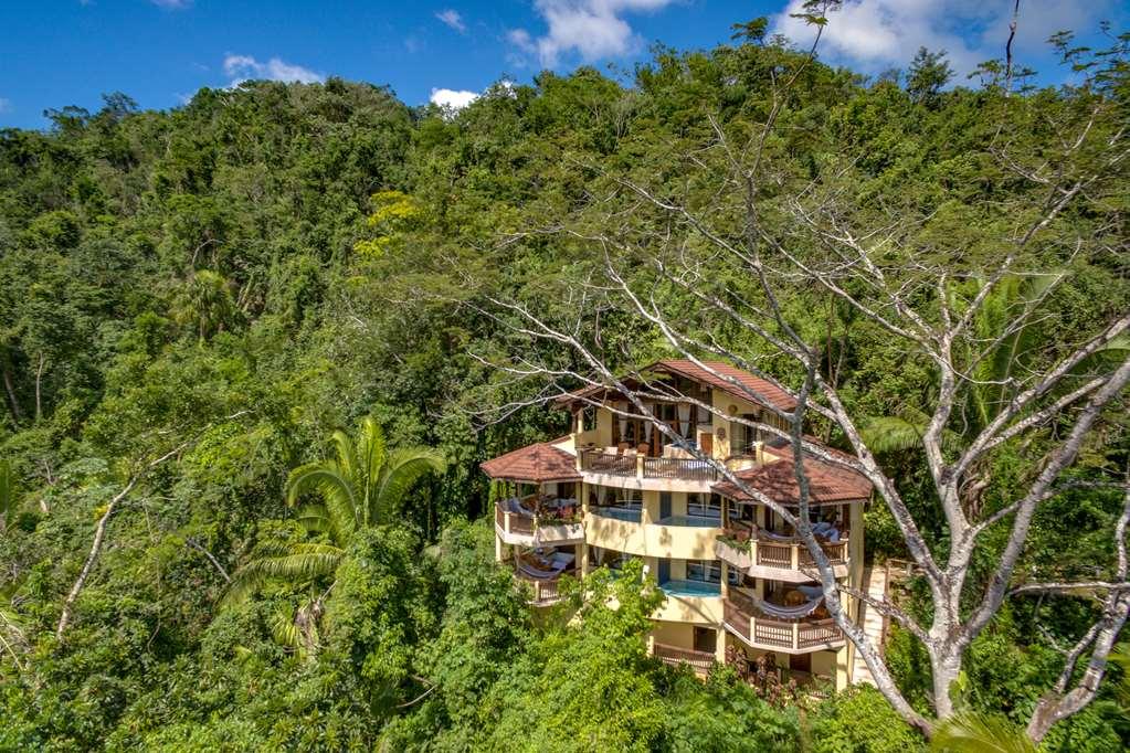 Sleeping Giant Rainforest