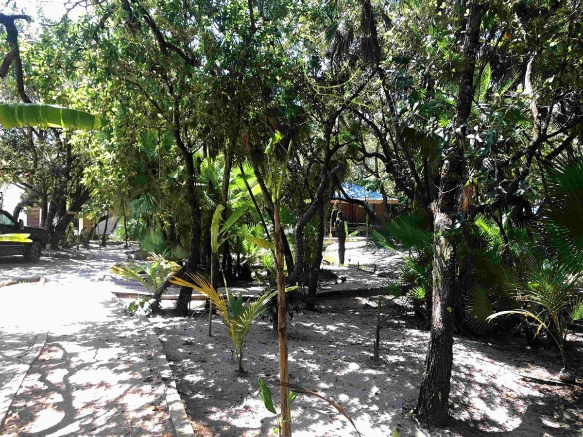 Kin * Maya Beach