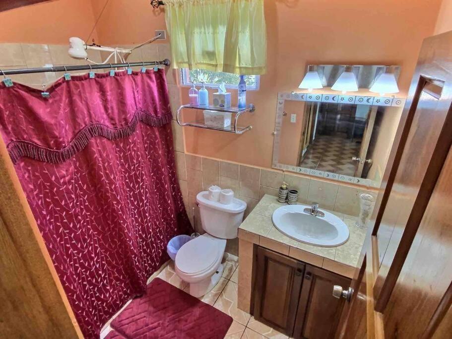 Mountain View Family In Town With King And Midterm Available Holiday home