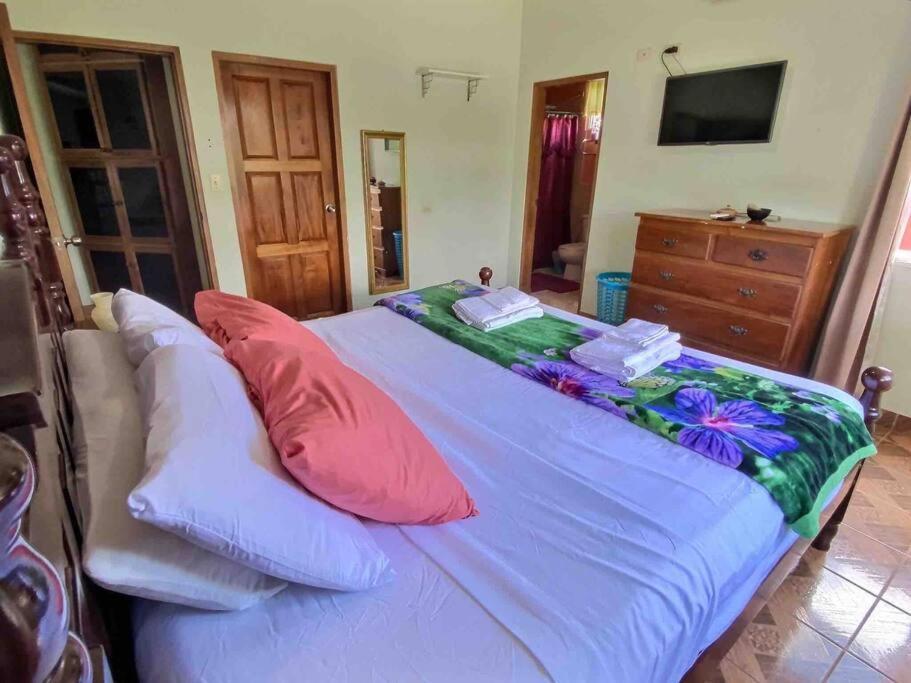 Mountain View Family In Town With King And Midterm Available Holiday home San Ignacio