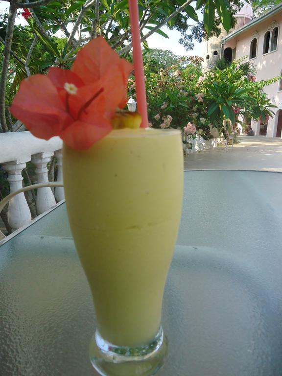 Lodge Banana Bank & Jungle Horseback Adventures