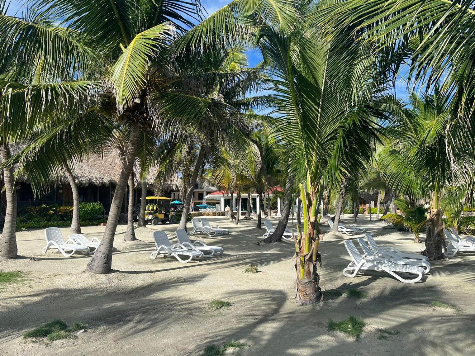 Captain Morgan's Retreat 3*