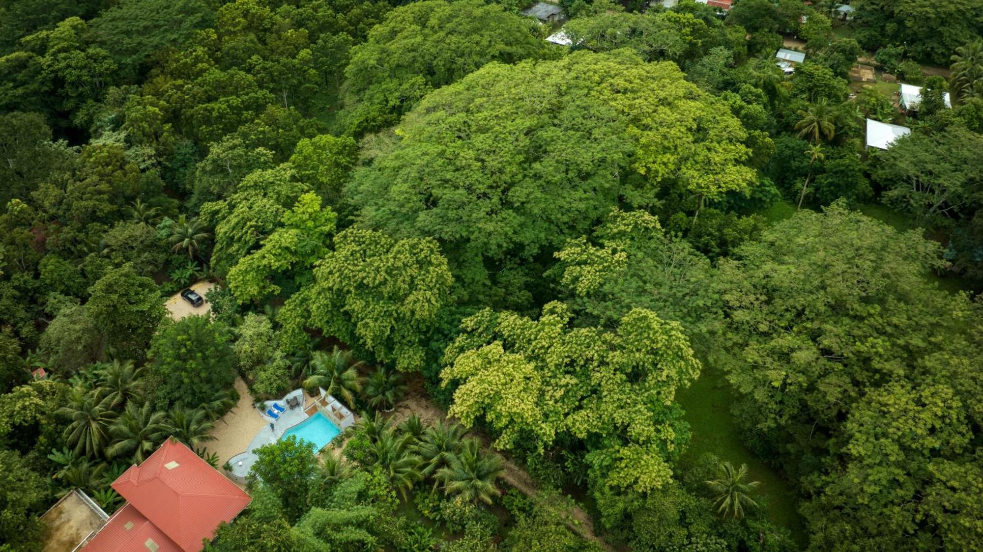 Massis Luxury San Ignacio