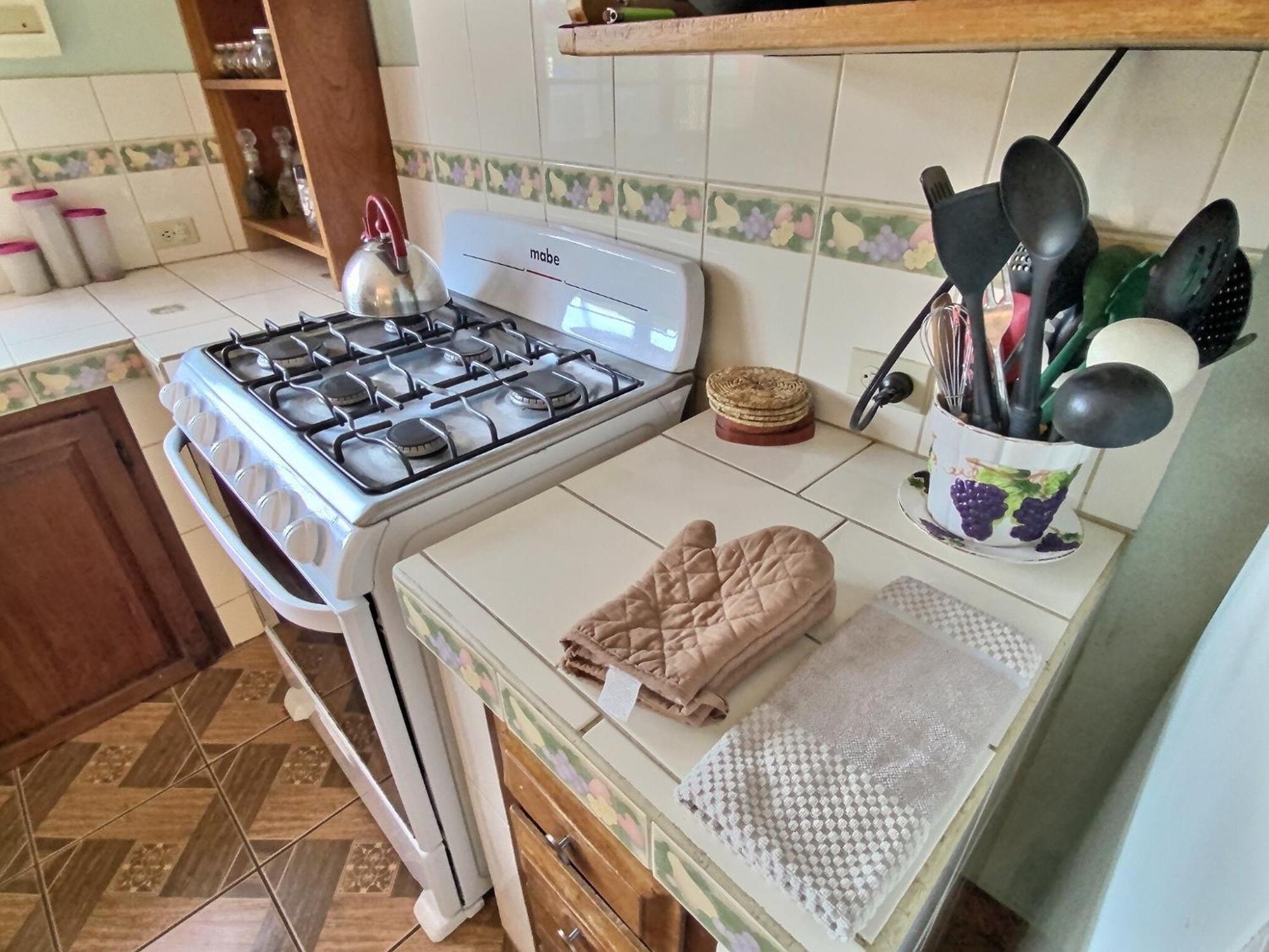Mountain View Family In Town With King And Midterm Available Holiday home