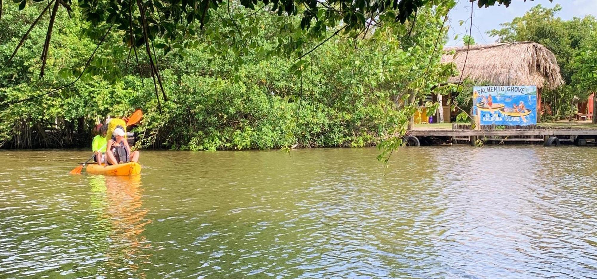 Palmento Grove Garifuna Eco-cultural & Healing Institute Bed & Breakfast