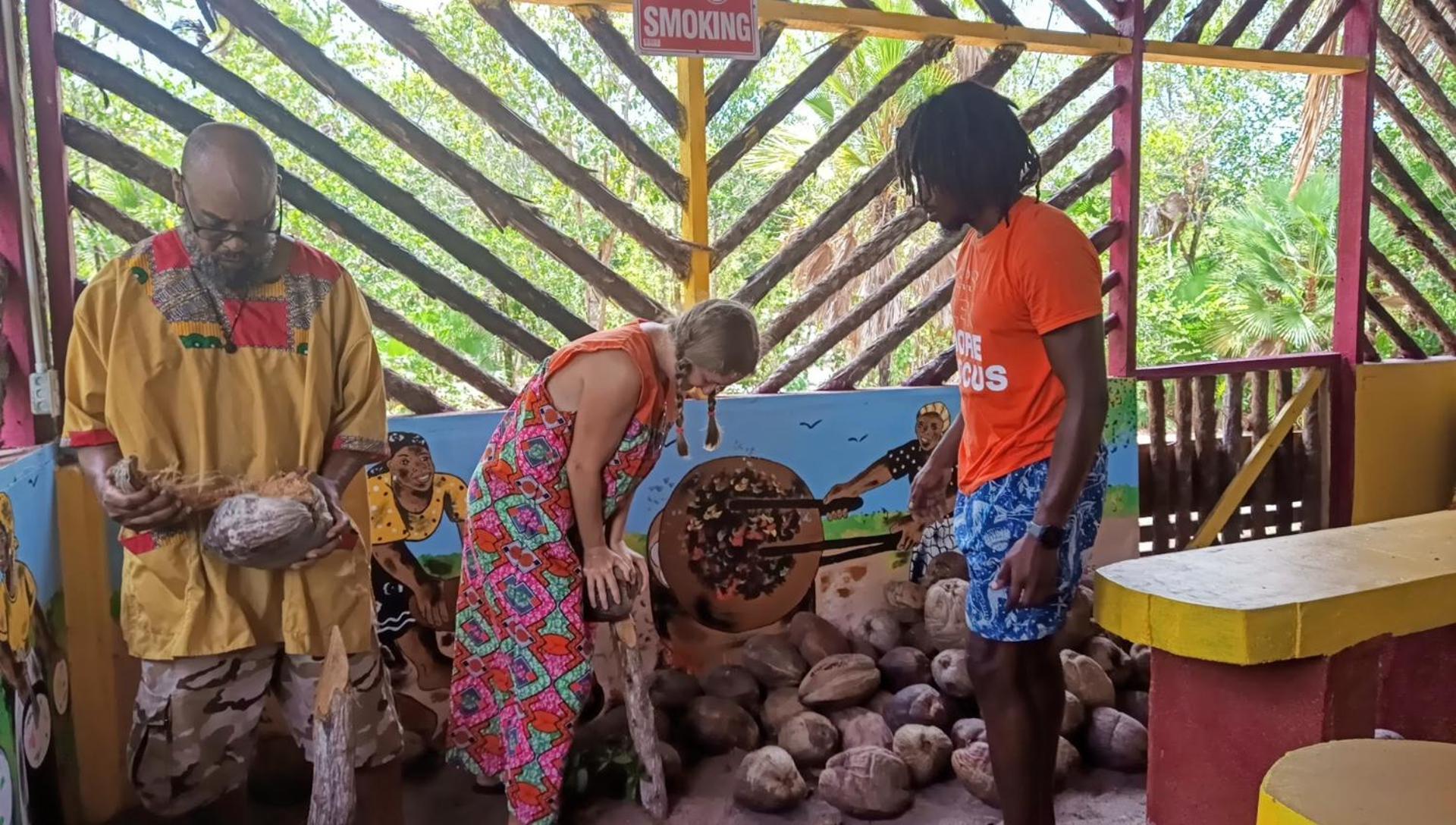 Bed & Breakfast Palmento Grove Garifuna Eco-cultural & Healing Institute 2*