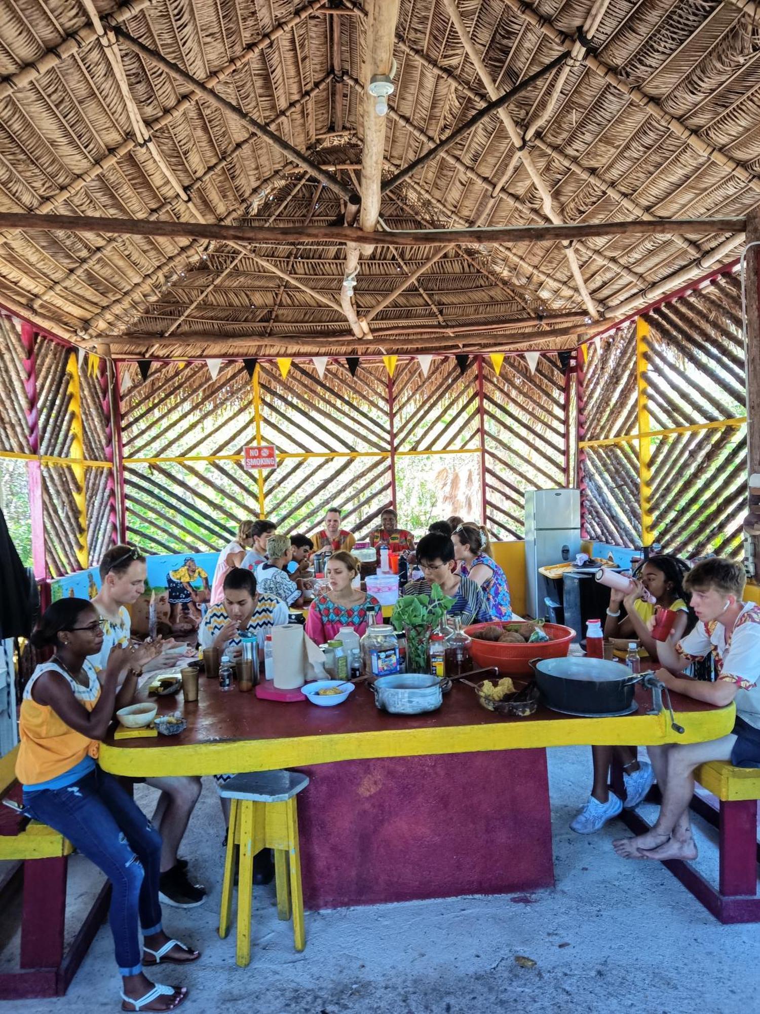 Palmento Grove Garifuna Eco-cultural & Healing Institute Bed & Breakfast Hopkins