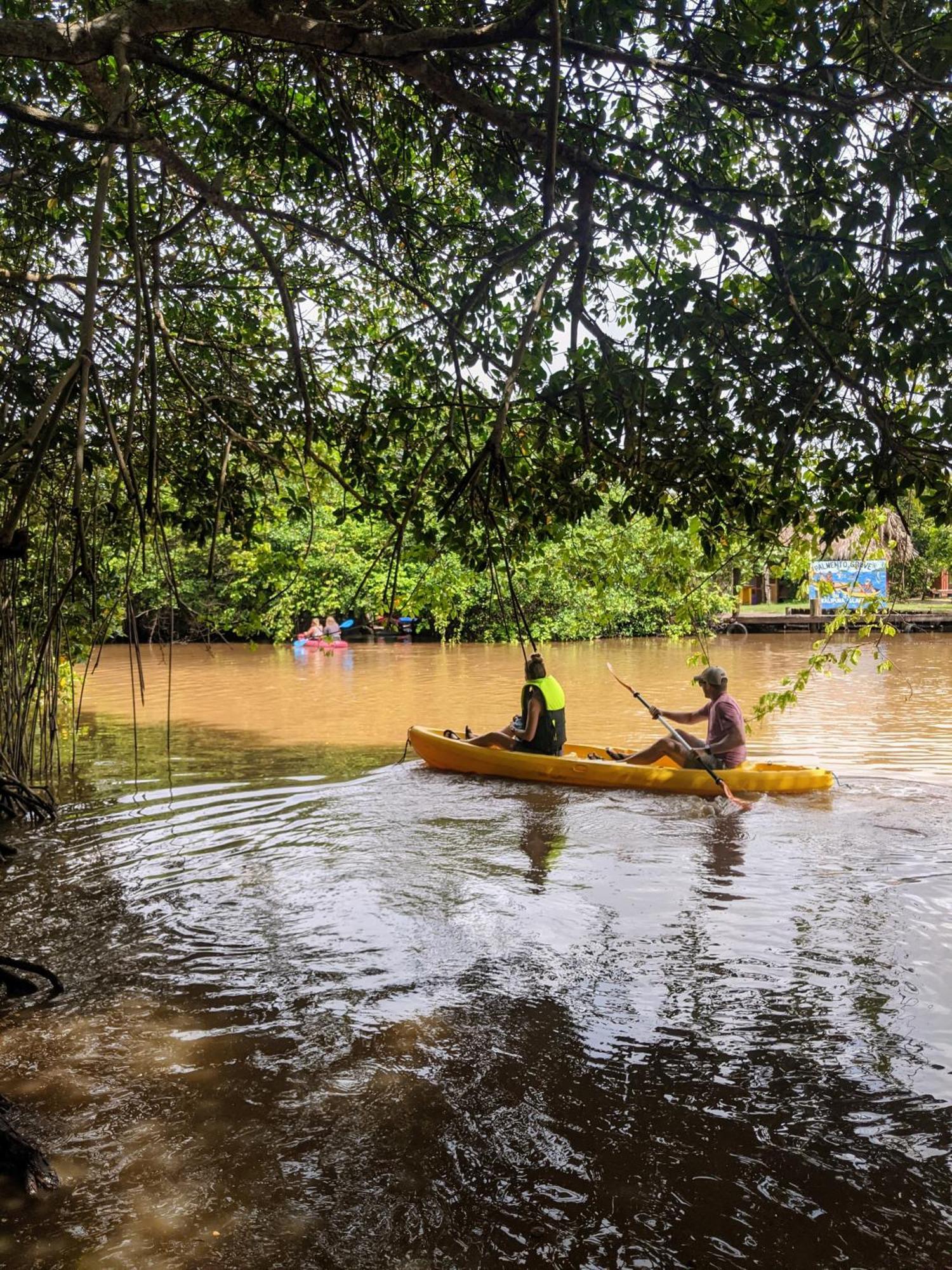 Palmento Grove Garifuna Eco-cultural & Healing Institute Bed & Breakfast