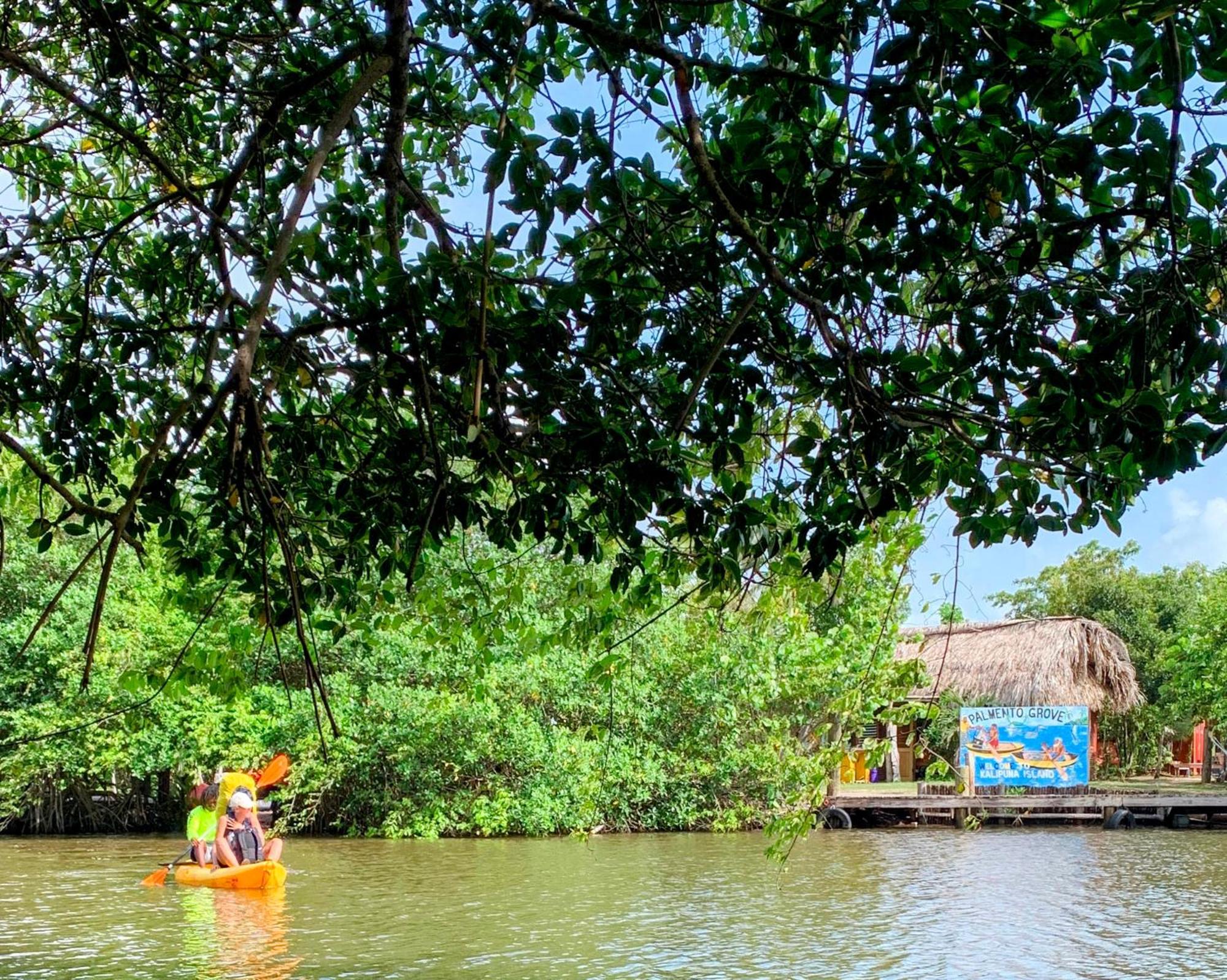 Palmento Grove Garifuna Eco-cultural & Healing Institute Bed & Breakfast Hopkins
