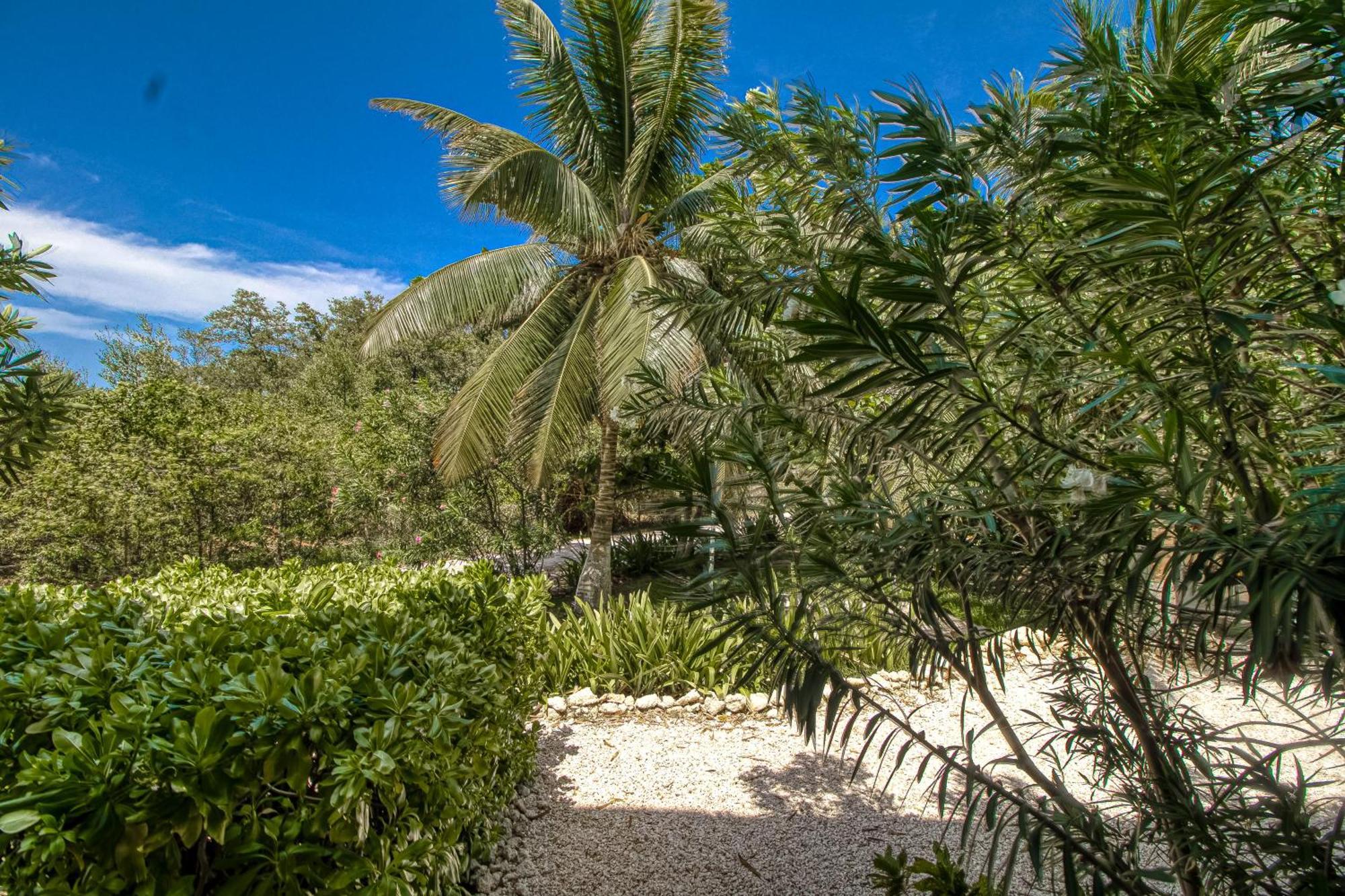 B103 Mara Laguna * San Pedro (Ambergris Caye)