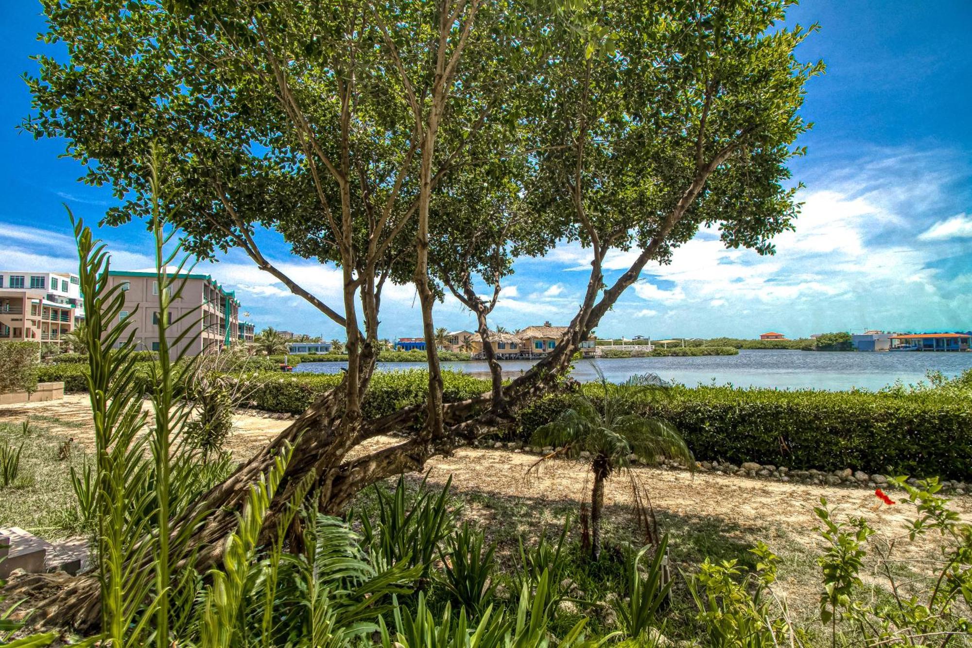 B103 Mara Laguna Apartment San Pedro (Ambergris Caye)