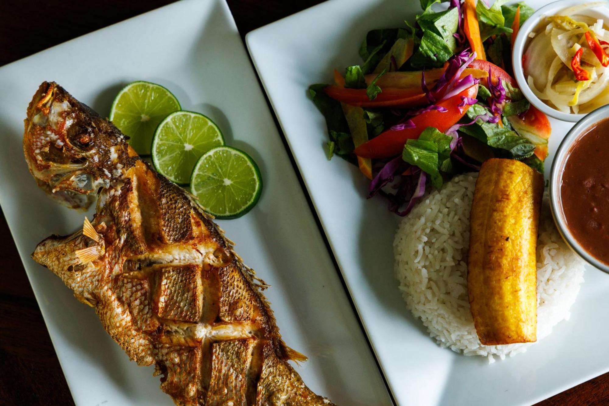 Coconut Row Boutique 4* Hopkins