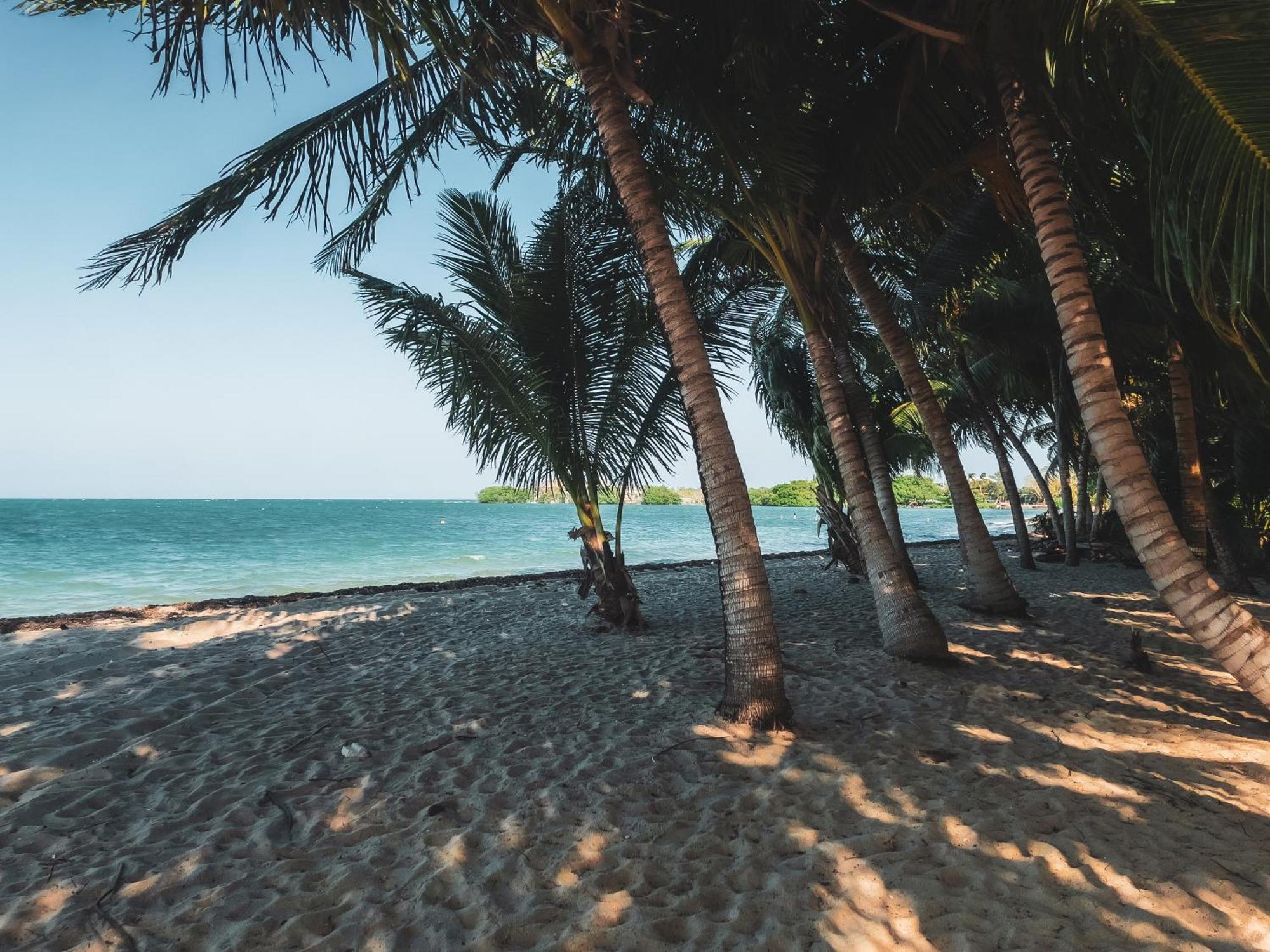 Anda Di Hows Hostel Placencia