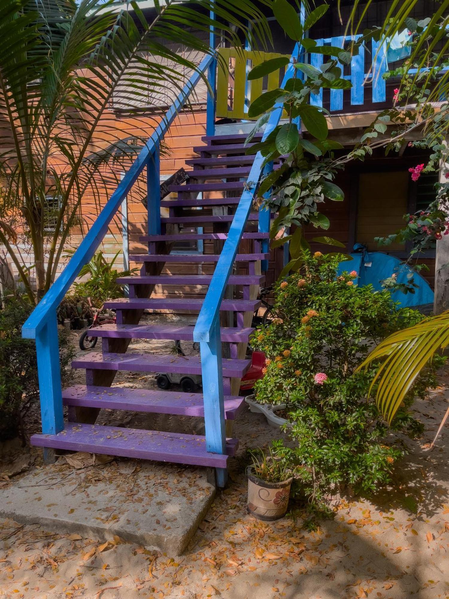 Anda Di Hows Hostel Placencia